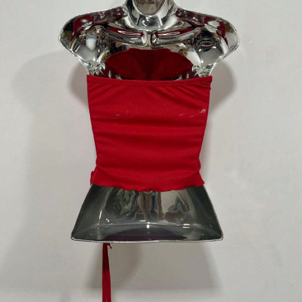 Cropped/Blusa Netuno